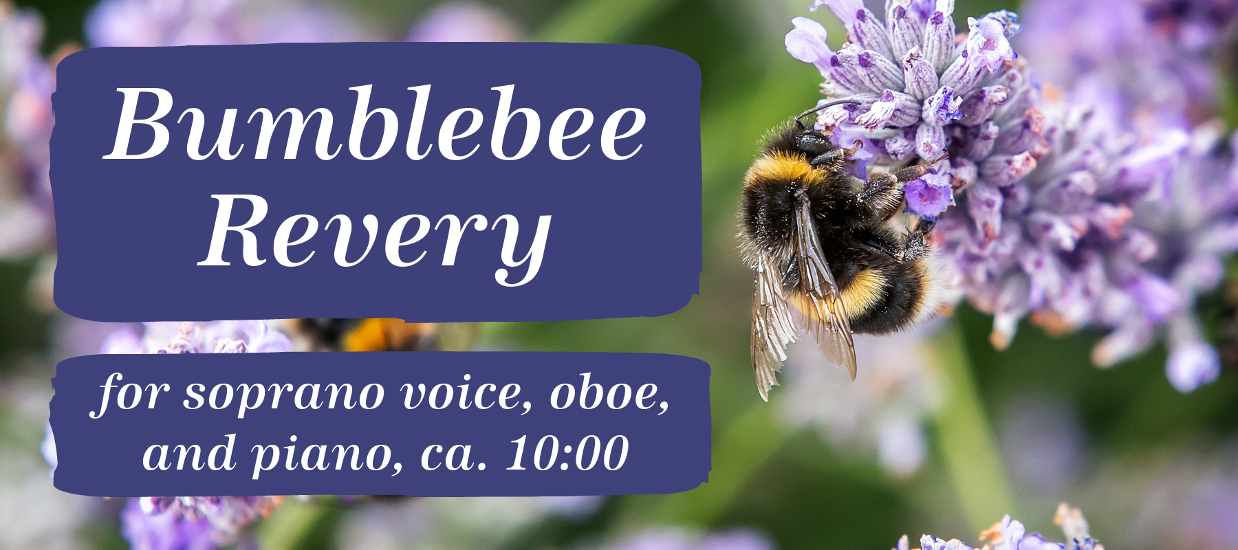 Bumblebee Revery, for soprano voice, oboe, and piano, ca. 10:00