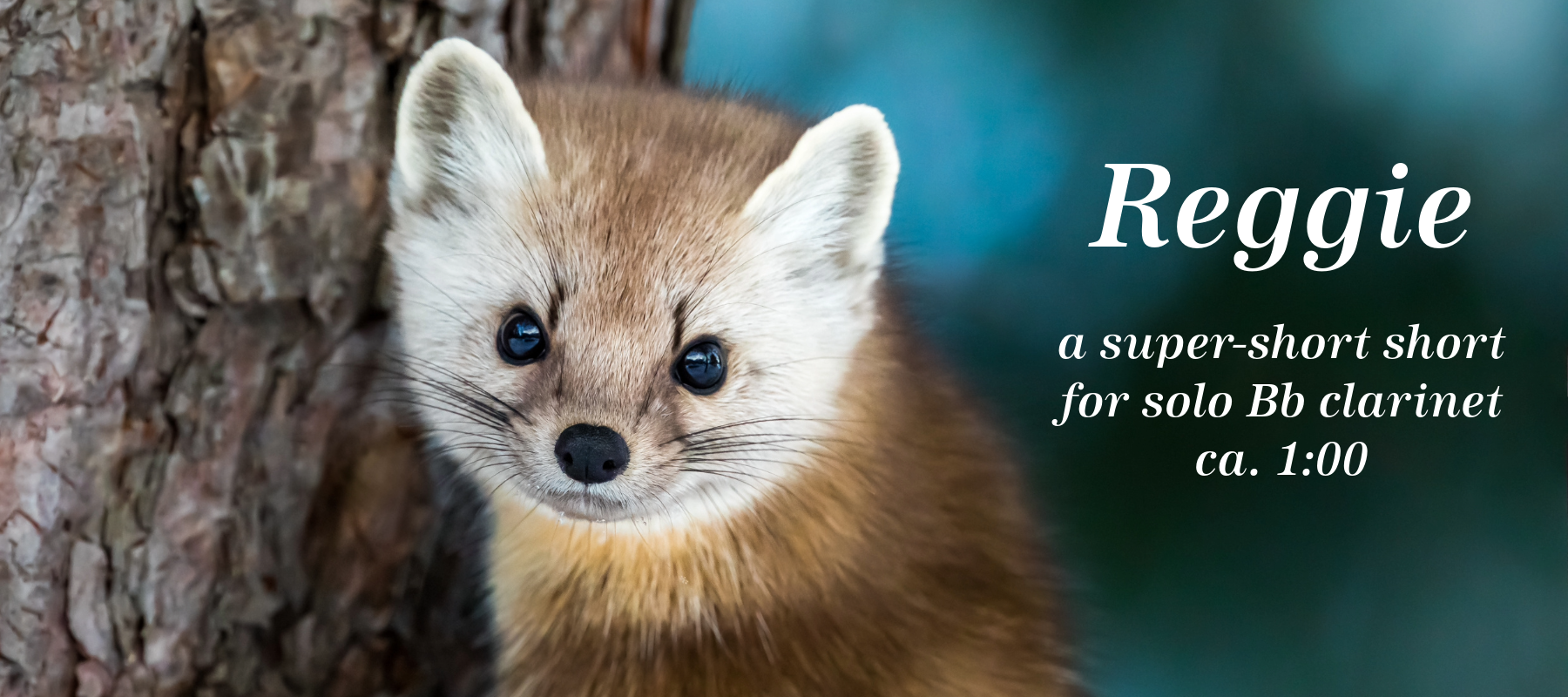 Reggie, a super-short short for solo Bb clarinet, ca, 1:00